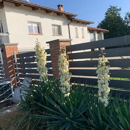 דירה Iris דוליאני