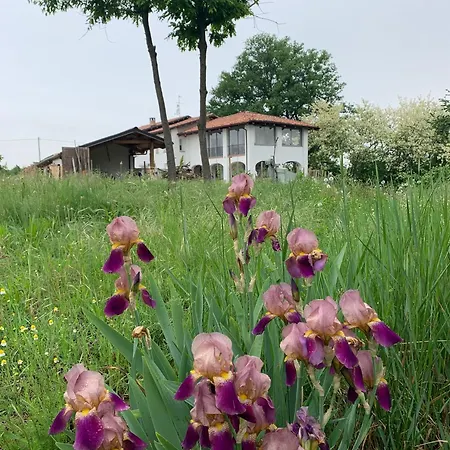 Iris Lägenhet