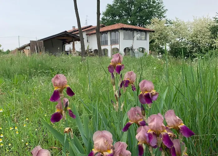 Iris Διαμέρισμα